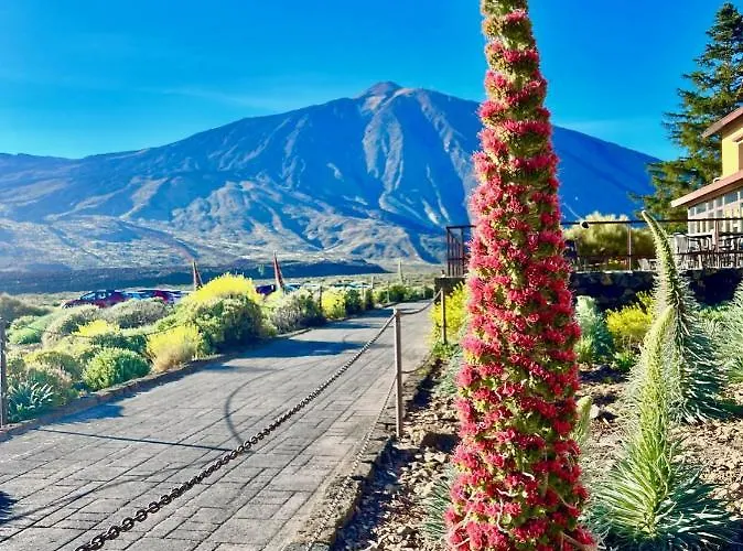 Apartment !!! Relaxing View, The Heights With Terrace And Heated Pools, Cristianos *